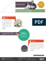 s1 Infografia 02 PROSS