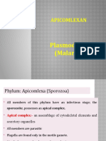 Apicomlexan: Plasmodium (Malaria)