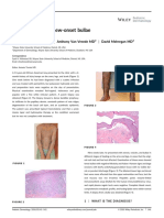 Itchy Bumps With New-Onset Bullae: Syed H. Mahmood BS - Anthony Van Vreede MD - David Mehregan MD