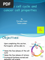 Cell Cycle (Rubina)