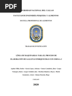 Trabajo de Investigacion Galletas Enriquecidas Con Omega-3 PDF