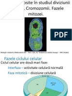 Biocel LP 9-Mitoza PDF