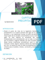 Capitulo 4 Precipitacion PDF