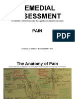 3 +Pain+2018+PDF+1pp