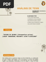 Analisis de Tesis.f