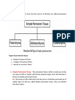 Simple Permanent Tissue