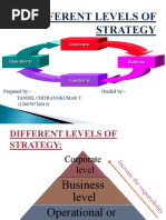 Corporate, Business and Functional Level Strategy