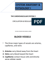 Lecture 4 Cardiovascular System 2