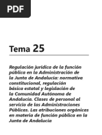 Tema 25 Admja PDF