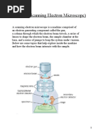 Sem (Scanning Electron Microscope)