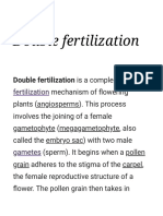 Double Fertilization - Wikipedia