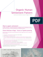 Organic Human Settlement Pattern - Imran