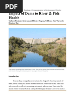 Enstu 300 Policy Analysis Dams