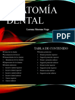 Anatomia Dental