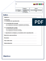 Guía 1 - Ciencias Naturales - 5to - 3 Periodo