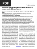 Noncanonical Transnitrosylation Network Contributes To Synapse Loss in Alzheimer's Disease