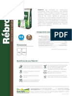 FT Rebrote2 PDF