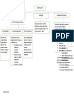 Mapa Conceptual 3