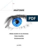 Anatomie de La Vision