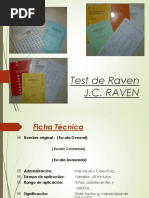 Test Raven E. Especial PDF