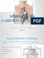 Clasedecardiologa ruidosysoplosCUADROS