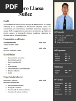 Luis Piero Llacsa Nuñez: Perfil