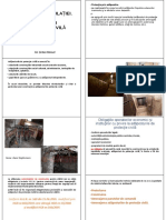 Adapostire PDF