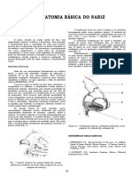 Anatomia Do Nariz PDF