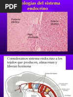 2 Patologias de Endocrino