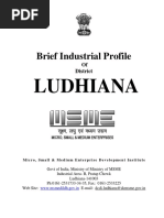 Brief Industrial Profile: Ludhiana