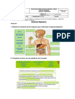 Tarea 1 Sistema Digestivo Parcial I Q. II