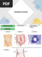 Apendicitis Aguda