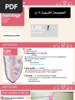 GIT Histology: Fatehalraheman - ALHGRI