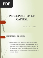 Presupuesto de Capital