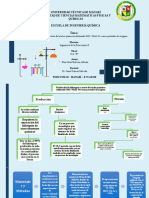 Organizador Gráfico