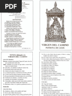 Novena Virgen Camino