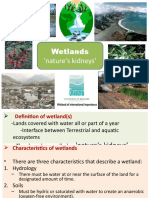 Wetlands 'Nature's Kidneys'