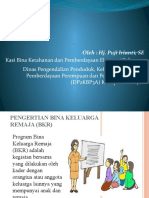 Bina Keluarga Remaja (BKR)