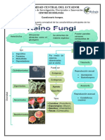 Cuestionario de Hongos