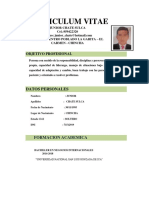 CV Documentado - Chate