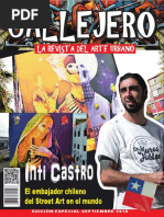 Revista Callejeros