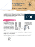 Clasificación de Materiales Magnéticos