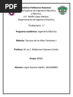 López - Ramírez - Adolfo - Problemario 1 PDF