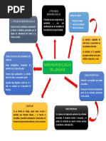 Bases Neurobiológicas Del Lenguaje