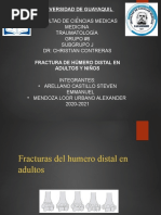 Fractura Humero Distal en Niños y Adultos