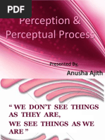 Perception & Perceptual Process: Presented By