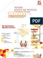Hormonas Tiroideas