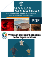 Voluntariado Vivemar Ene-Mar 2021 PDF