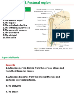 Mix2-Pectoral Region