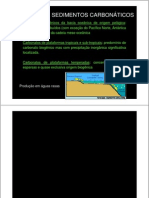 Aula 2 Sedimentos Carbonaticos